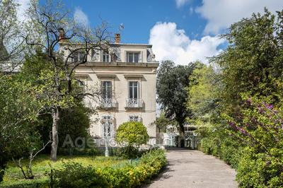 Maison chambre d'hôtes - 542 m²