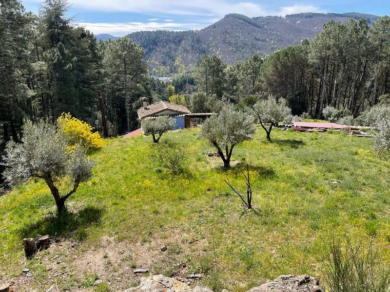 Propriété - 32 m² - 2 pièces