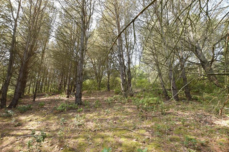 Terrain de loisirs - 11 765 m²