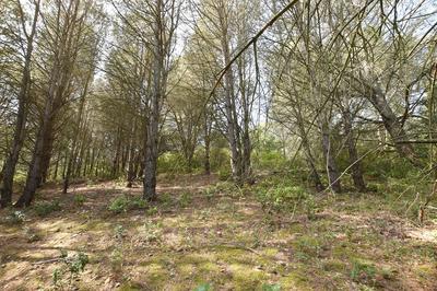 Terrain de loisirs - 11 765 m²