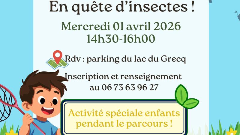 Sortie nature : en quête d'insectes