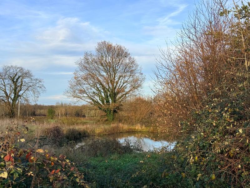 Terrain agricole - 6 045 m²