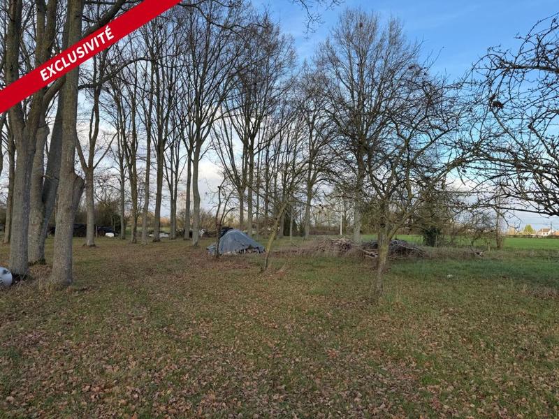 Grange - 151 m² - 6 pièces