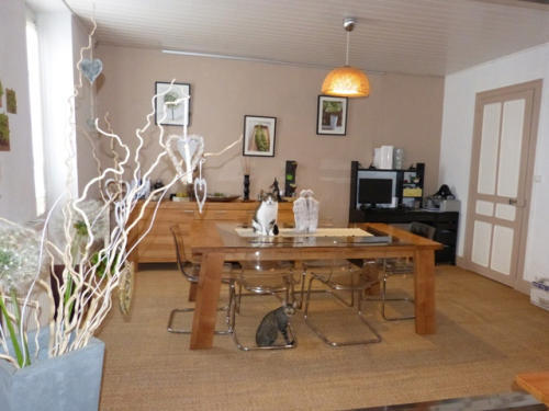 Loft - 236 m² - 7 pièces