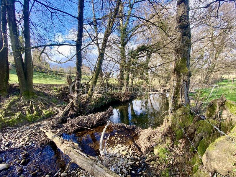 Propriété - 146 m² - 6 pièces