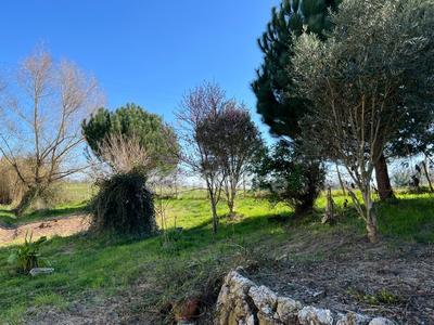 Maison de campagne - 165 m² - 4 pièces