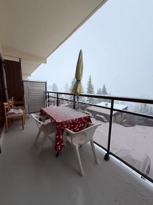 Studio - 36 m² - 1 pièce