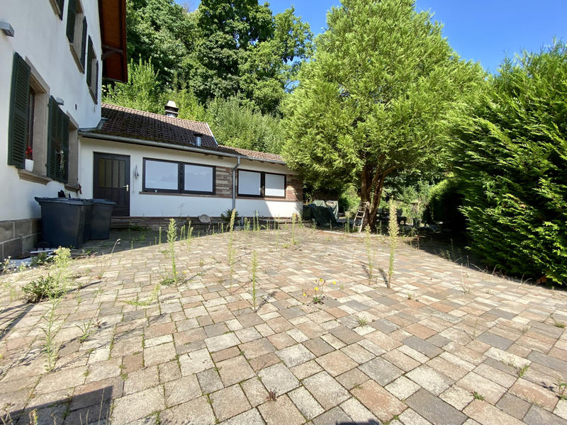 Maison - 500 m² - 13 pièces