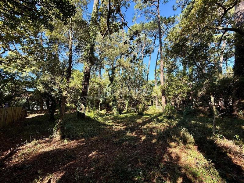 Terrain constructible - 627 m²