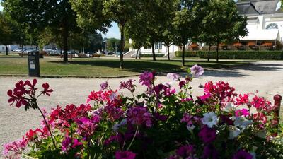 Appartement - 22 m² - 1 pièce