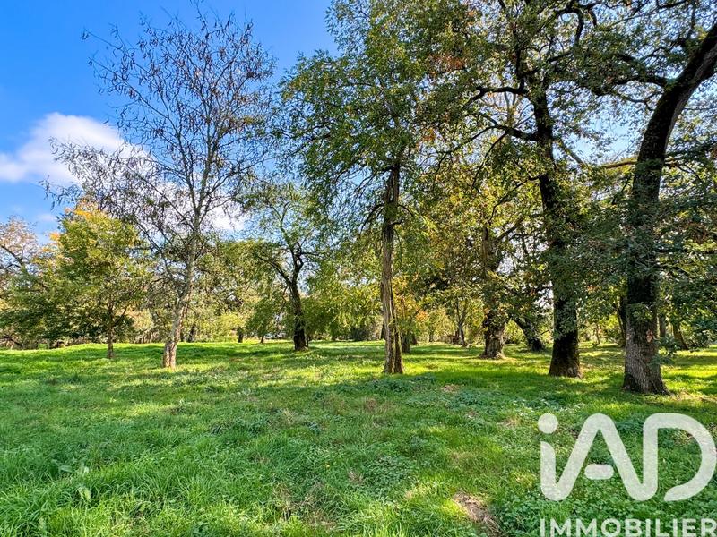 Maison - 355 m² - 10 pièces