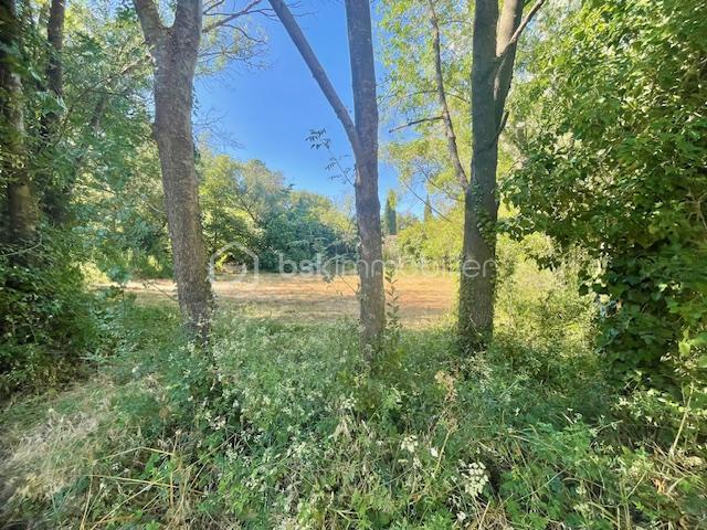 Terrain agricole - 6 013 m²