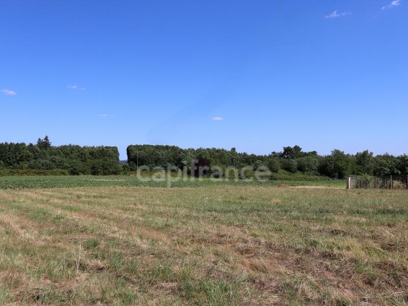Terrain constructible - 3 264 m²
