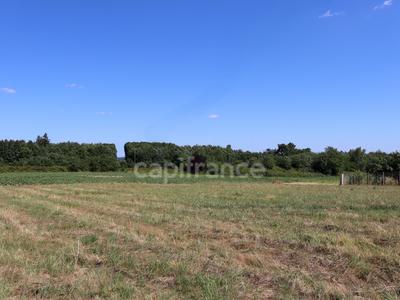Terrain constructible - 3 264 m²