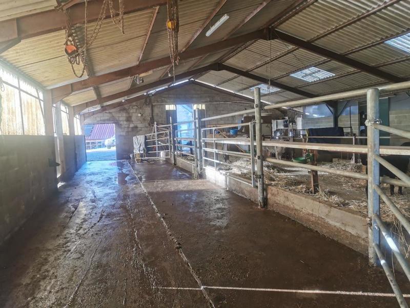 Maison de domaine équestre - 168 m² - 5 pièces