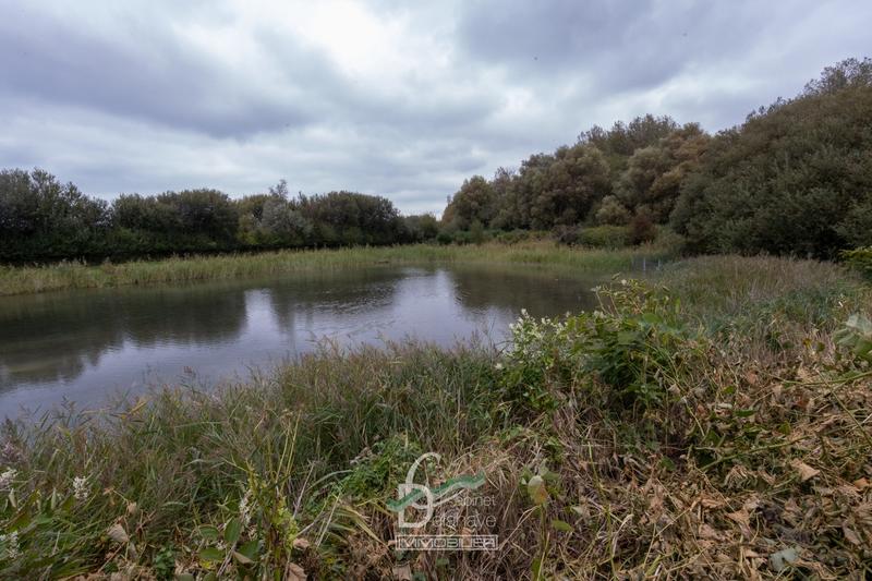 Maison contemporaine - 120 m² - 5 pièces