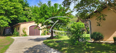 Maison ancienne - 290 m² - 8 pièces