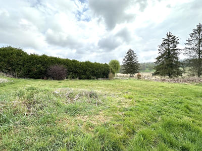 Terrain - 1 571 m²