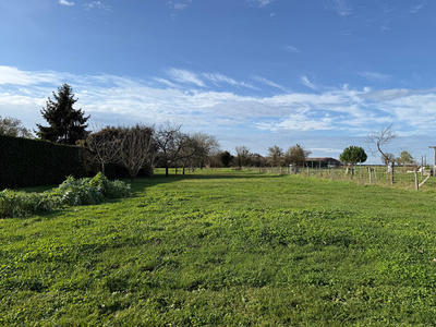 Terrain - 1 000 m²