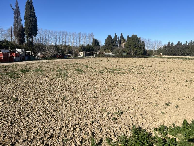 Terrain agricole - 65 685 m²