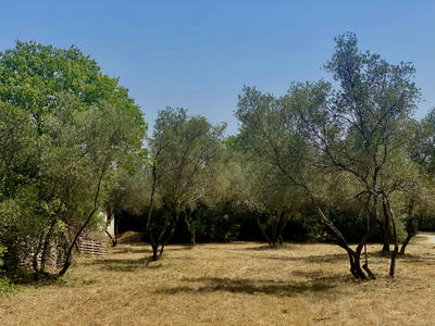 Terrain - 2 105 m²