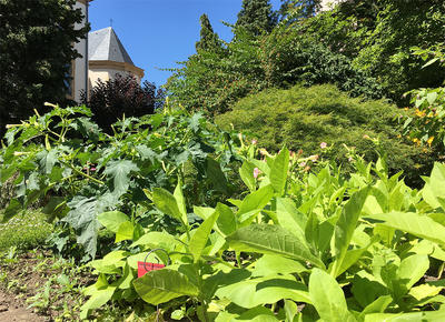 Cloître des Récollets - Société Française d'Ethnopharmacologie