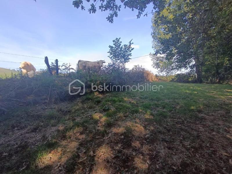 Maison - 100 m² - 2 pièces