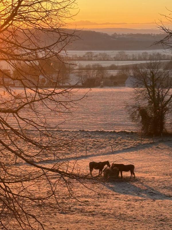 Maison - 365 m² - 8 pièces