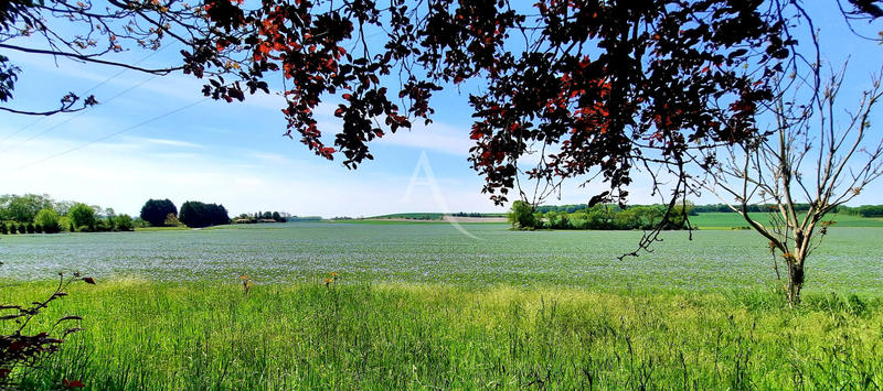 Maison - 137 m² - 5 pièces