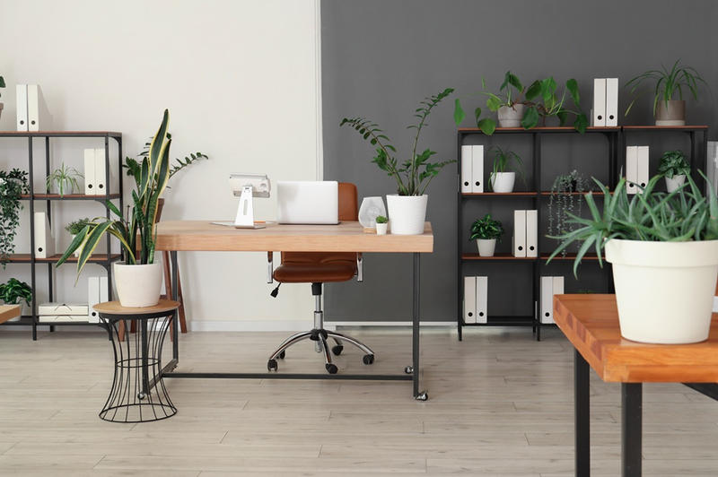 Local d'activité / Entrepôt - 44 m²