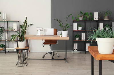 Local d'activité / Entrepôt - 44 m²