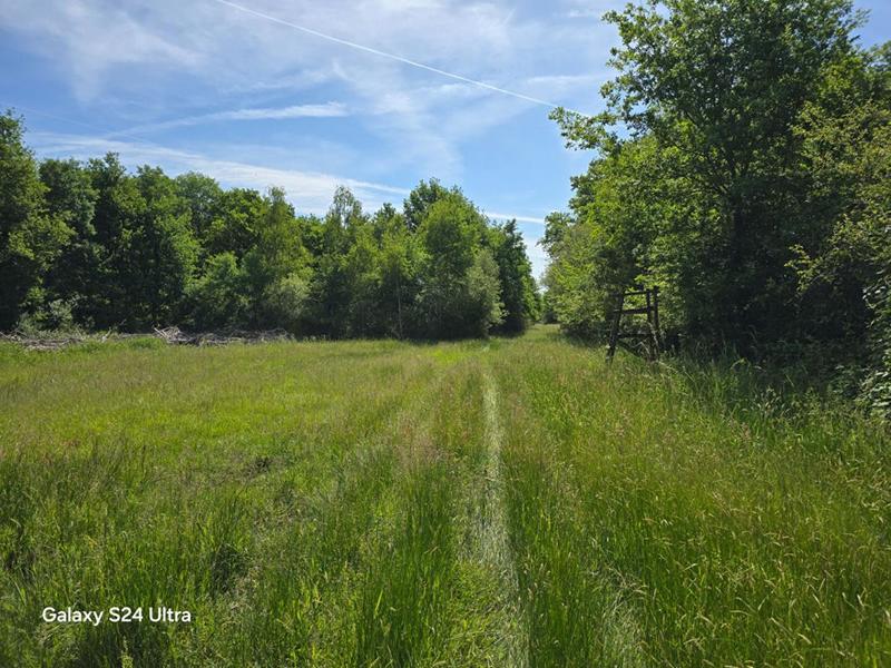 Terrain - 231 782 m²