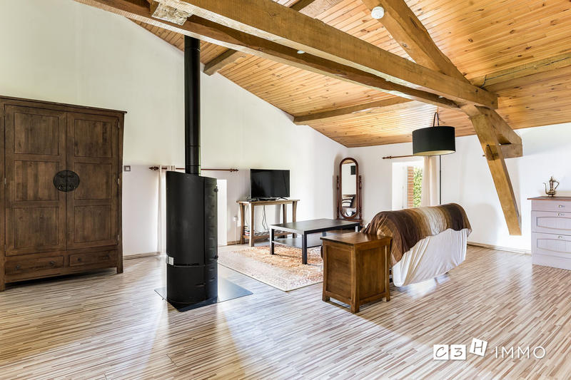 Château - 520 m² - 12 pièces