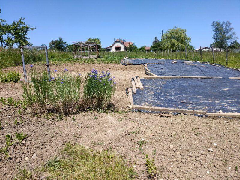 Maison de village - 109 m² - 9 pièces