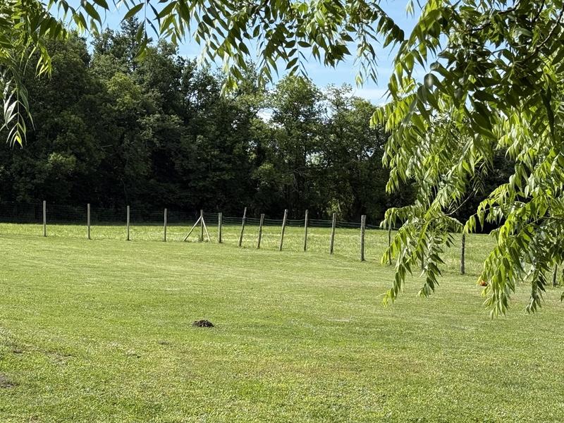 Maison - 250 m² - 11 pièces