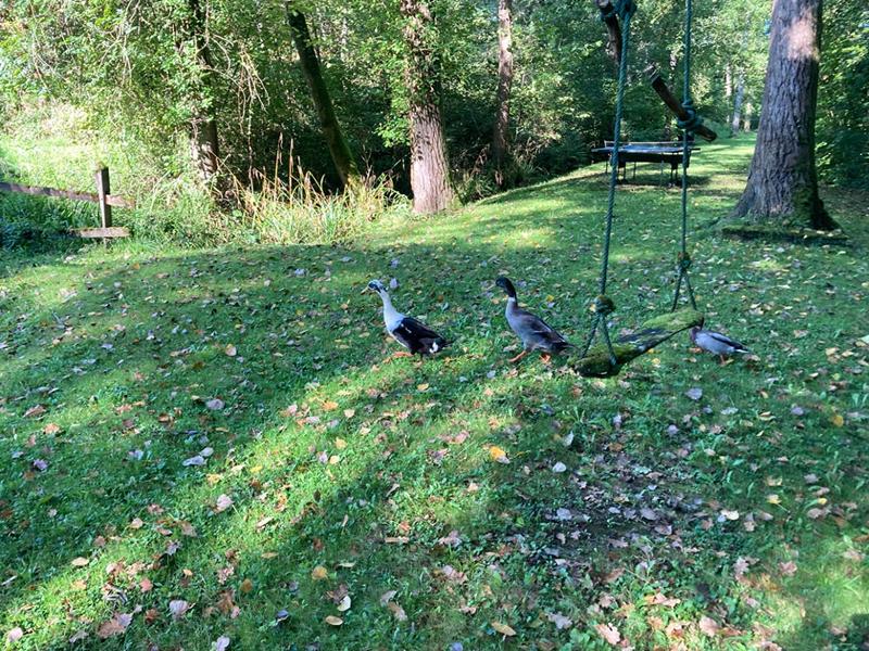 Maison - 190 m² - 8 pièces