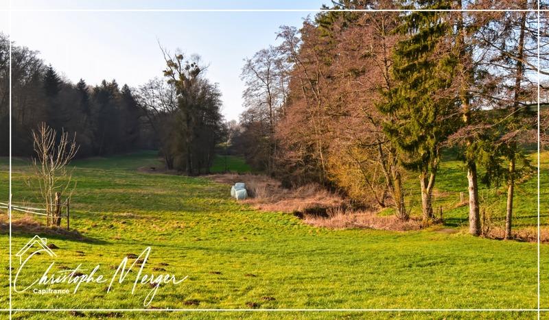 Maison de campagne - 490 m² - 15 pièces