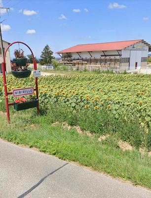 Terrain constructible - 450 m²