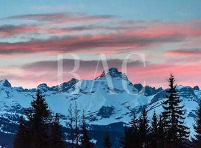 Châlet - 300 m² - 9 pièces