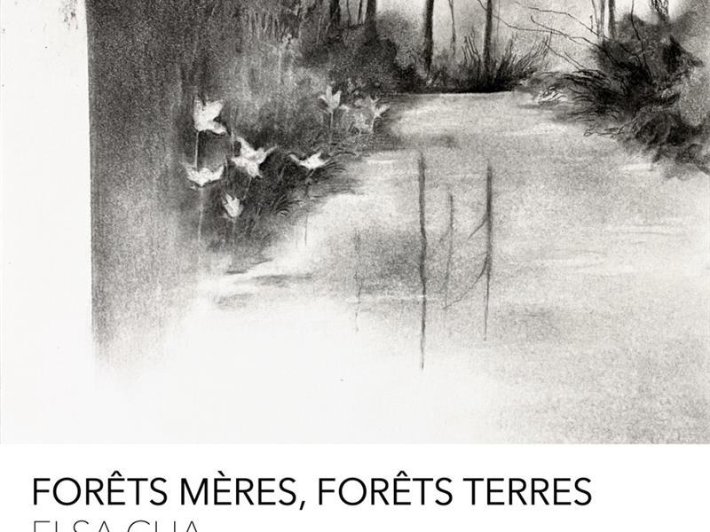 Exposition Forêt mères, forêts terres