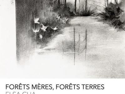 Exposition Forêt mères, forêts terres