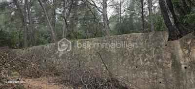 Terrain de loisirs - 3 684 m²