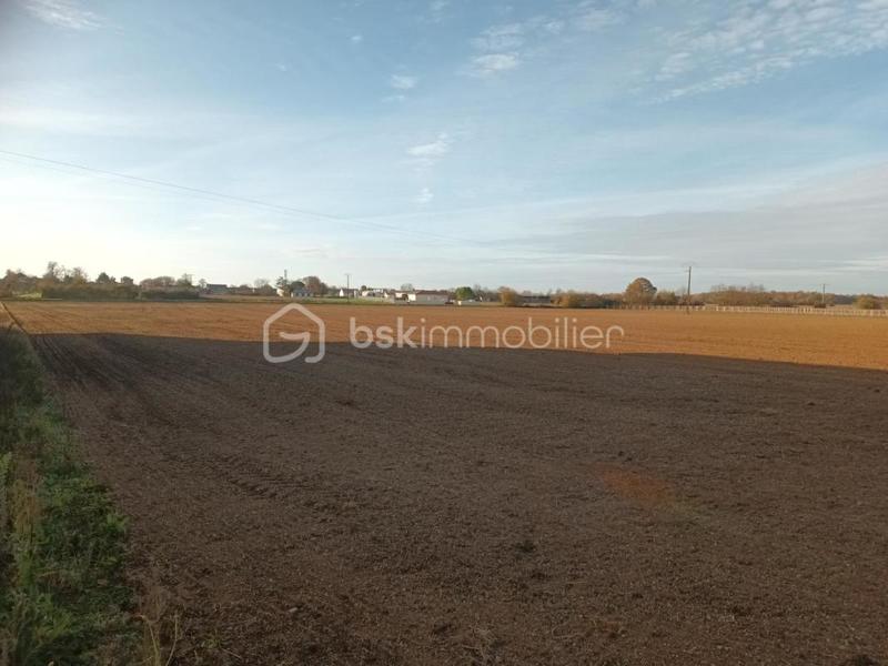 Terrain industriel - 9 653 m²