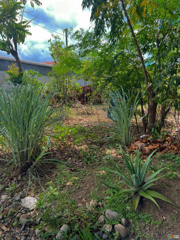 Maison ancienne - 118 m² - 3 pièces