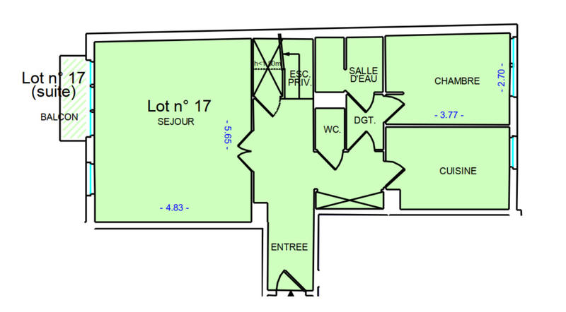 Appartement - 111 m² - 5 pièces