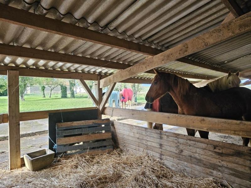 Propriété - 224 m² - 8 pièces