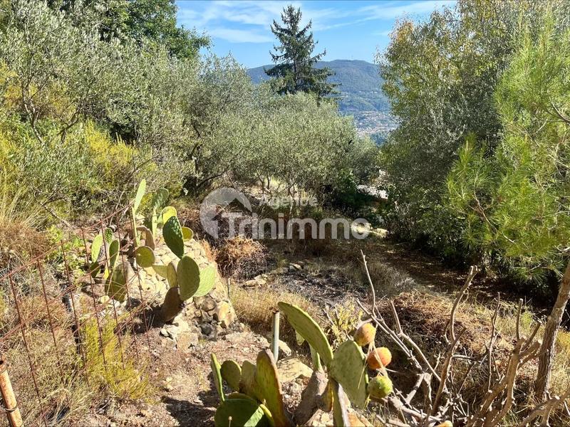 Terrain - 895 m²