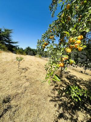 Pavillon - 150 m² - 6 pièces