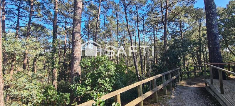 Maison - 31 m² - 2 pièces