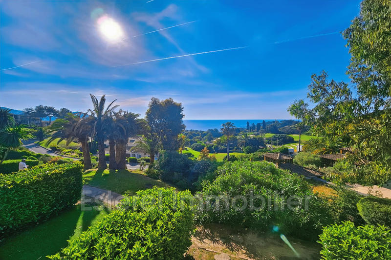 Appartement - 23 m² - 1 pièce